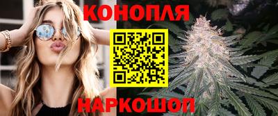 таблы Кингисепп