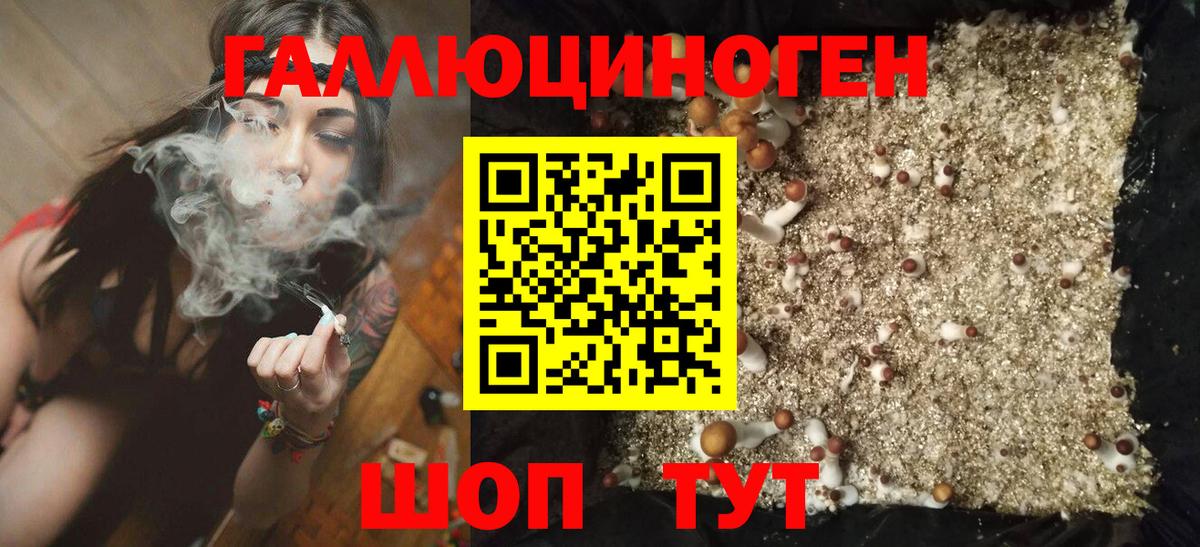 Псилоцибиновые грибы GOLDEN TEACHER Пермь